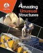 Amazing Unusual Structures - Preview