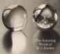 Amazing World Of M.C. Escher - Preview