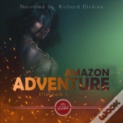 Capa do artigo Amazon Adventure