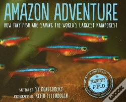 Capa do artigo Amazon Adventure