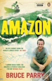Capa do artigo Amazon