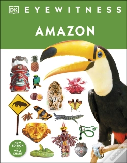Capa do artigo Amazon