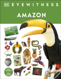Capa do artigo Amazon