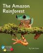 Amazon Rainforest - Preview