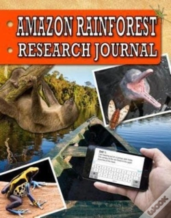 Capa do artigo Amazon Rainforest Research Journal