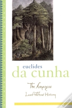 Capa do artigo Amazon