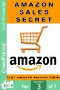 Amazon Sales Secrets - Preview