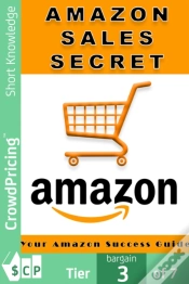 Capa do artigo Amazon Sales Secrets