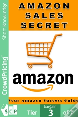 Capa do artigo Amazon Sales Secrets