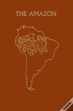 Capa do artigo Amazon