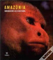 Capa do artigo Amazônia