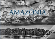 Capa do artigo Amazónia