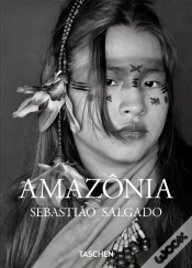 Capa do artigo Amazônia