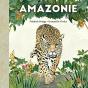 Amazonie - Preview