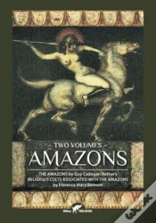 Capa do artigo Amazons