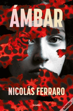 Capa do artigo Ambar