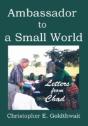 Ambassador To A Small World - Preview