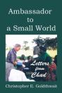 Ambassador To A Small World - Preview