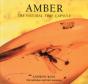 Amber - Preview