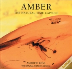 Capa do artigo Amber