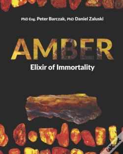 Capa do artigo Amber Elixir Of Immortality
