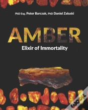 Capa do artigo Amber Elixir Of Immortality