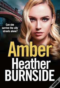 Capa do artigo Amber