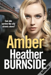 Capa do artigo Amber