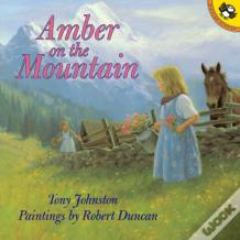 Amber On The Mountain