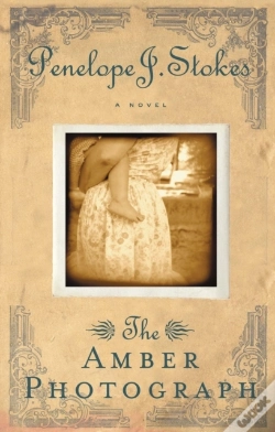 Capa do artigo Amber Photograph