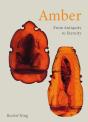 Amber - Preview