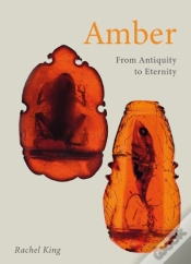 Capa do artigo Amber