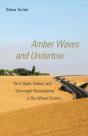 Amber Waves And Undertow - Preview