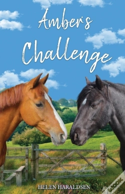 Capa do artigo Amber'S Challenge