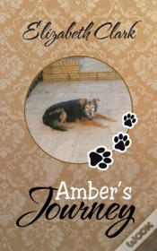 Capa do artigo Amber