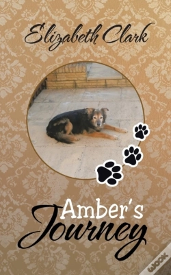 Capa do artigo Amber'S Journey