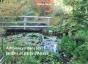 Ambiances Dans Les Jardins Et Parcs D'Alsace - Preview