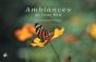Ambiances Du Costa Rica - Preview