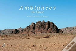 Capa do artigo Ambiances Du Sinaï