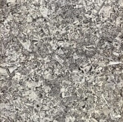 Capa do artigo Ambient 1 - Vinil