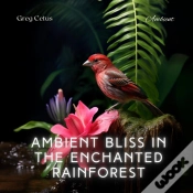 Capa do artigo Ambient Bliss In The Enchanted Rainforest