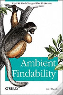 Capa do artigo Ambient Findability