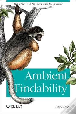 Capa do artigo Ambient Findability