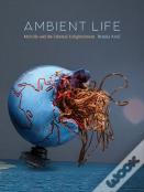Ambient Life Volume 80