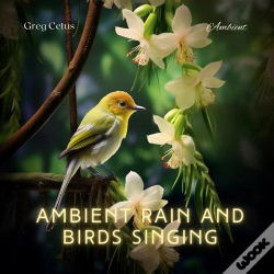 Capa do artigo Ambient Rain And Birds Singing
