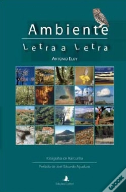 Capa do artigo Ambiente Letra a Letra
