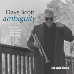 Capa do artigo Ambiguity - CD
