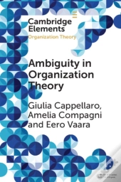 Ambiguity In Organization Theory