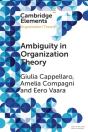 Ambiguity In Organization Theory - Preview