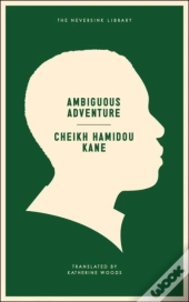 Ambiguous Adventure